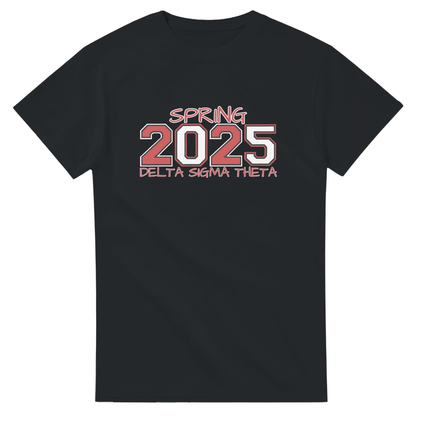 Delta Sigma Theta 2025 Spring T-shirt, Delta Sorority DST Paraphernalia Girl Shirt