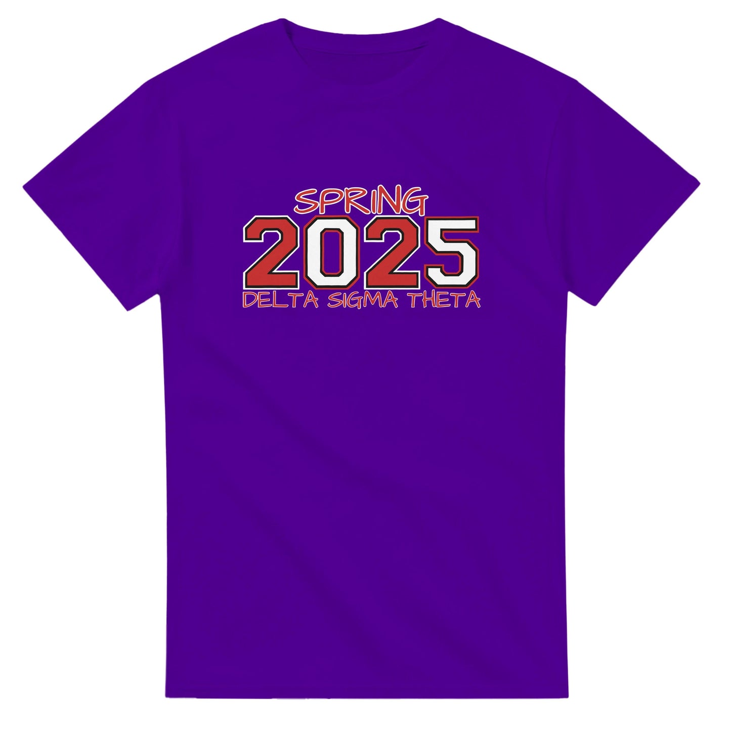 Delta Sigma Theta 2025 Spring T-shirt, Delta Sorority DST Paraphernalia Girl Shirt