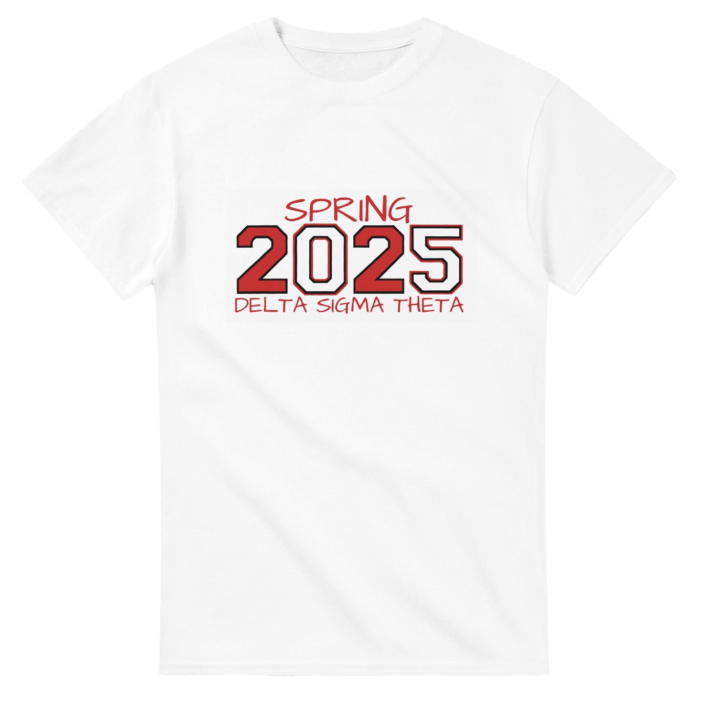 Delta Sigma Theta 2025 Spring T-shirt, Delta Sorority DST Paraphernalia Girl Shirt