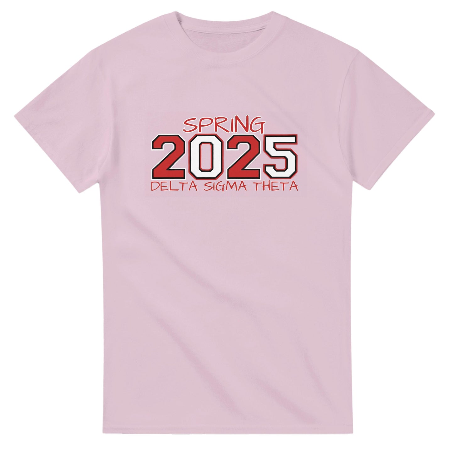 Delta Sigma Theta 2025 Spring T-shirt, Delta Sorority DST Paraphernalia Girl Shirt