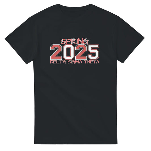 Delta Sigma Theta 2025 Spring T-shirt, Delta Sorority DST Paraphernalia Girl Shirt