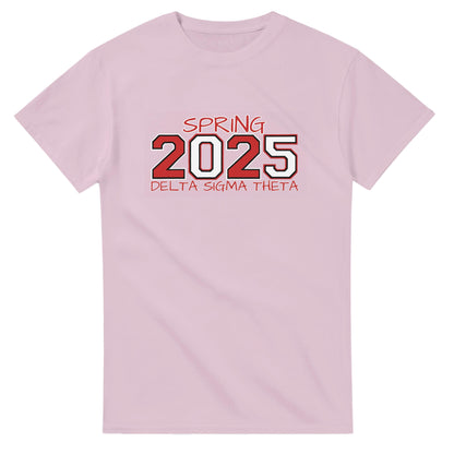 Delta Sigma Theta 2025 Spring T-shirt, Delta Sorority DST Paraphernalia Girl Shirt
