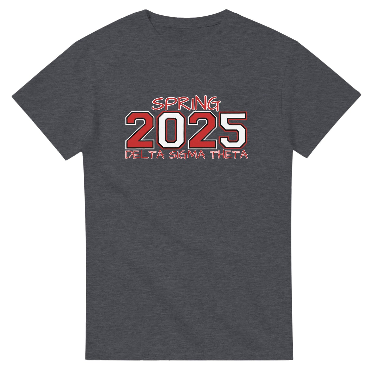 Delta Sigma Theta 2025 Spring T-shirt, Delta Sorority DST Paraphernalia Girl Shirt